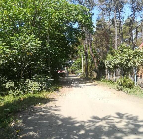 پانسیون Shekvetili+