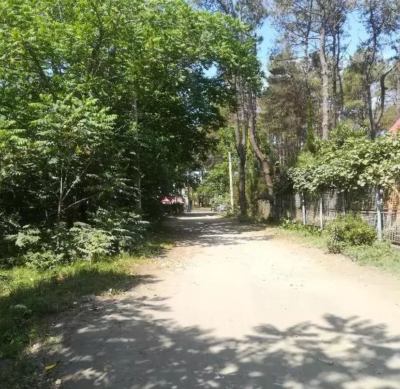 پانسیون Shekvetili+