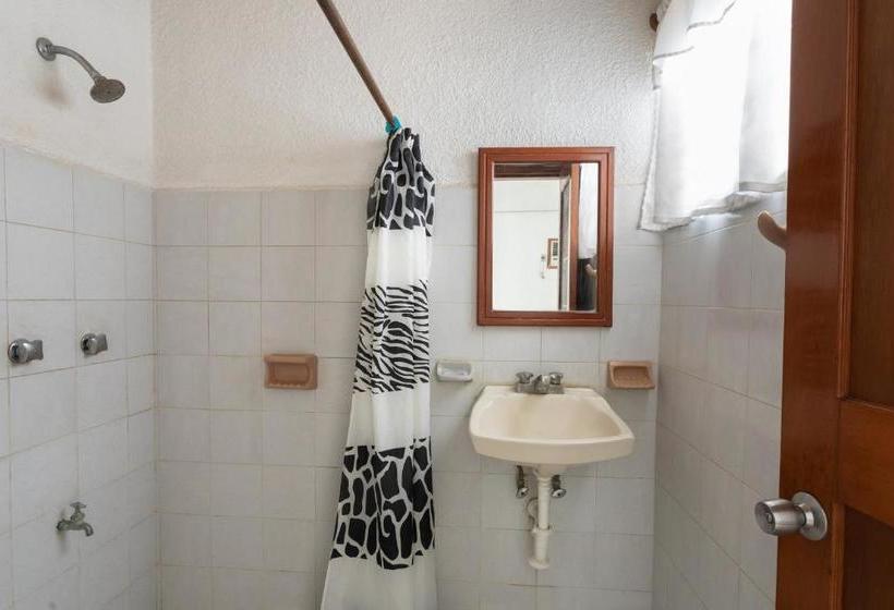 בית מלון כפרי AlterHome Mexico