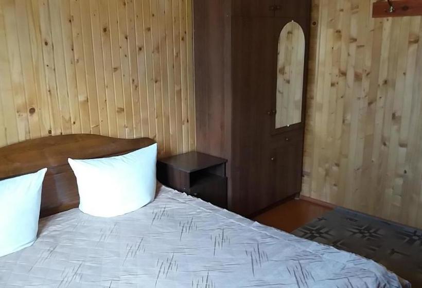 پانسیون Raduga Karpat