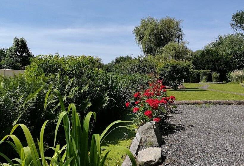 ベッドアンドブレックファースト Cleome