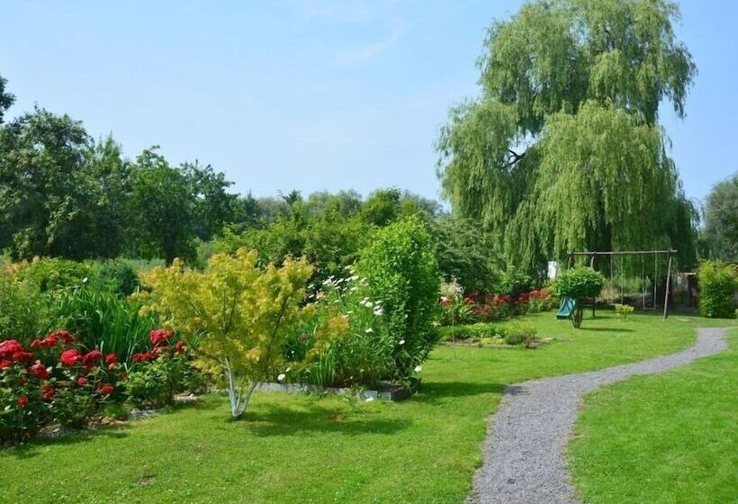 ベッドアンドブレックファースト Cleome