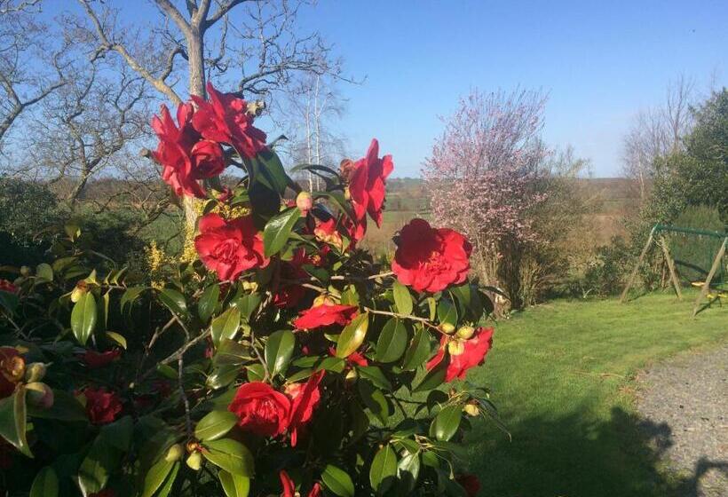 ベッドアンドブレックファースト Chambre D Hôtes Des Anges Proche Mont Saint Michel, L Angevinière