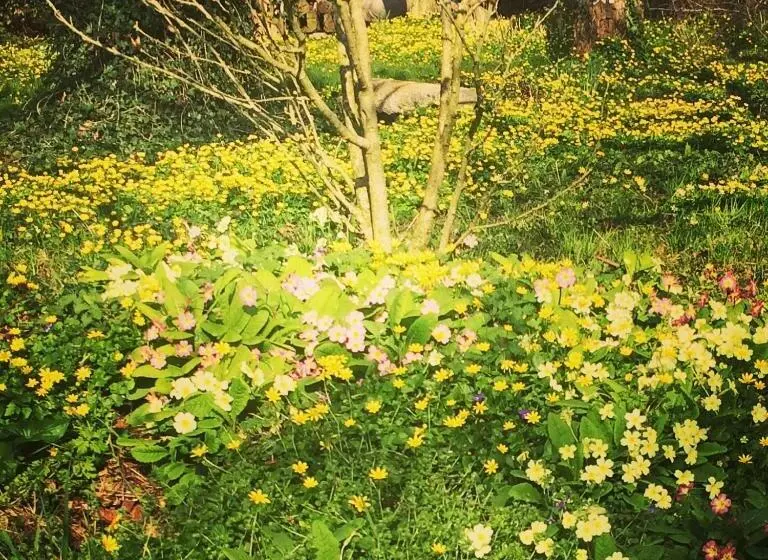 Aamiaismajoitus (B&B) Chambre D Hôtes Des Anges Proche Mont Saint Michel, L Angevinière
