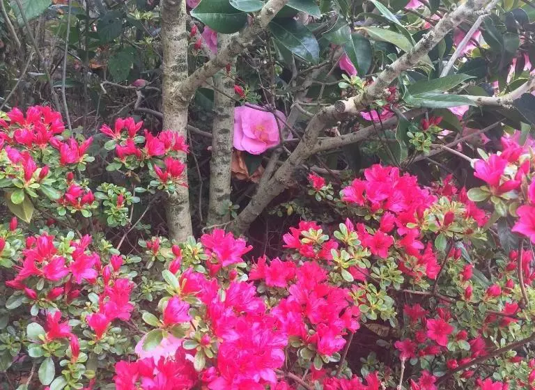 Aamiaismajoitus (B&B) Chambre D Hôtes Des Anges Proche Mont Saint Michel, L Angevinière