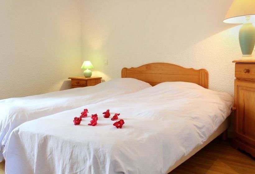 Rhodogites Du Goëlo Rhododendron