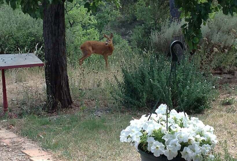 住宿加早餐 Le Clos Des Collines. Chambre D Hôtes