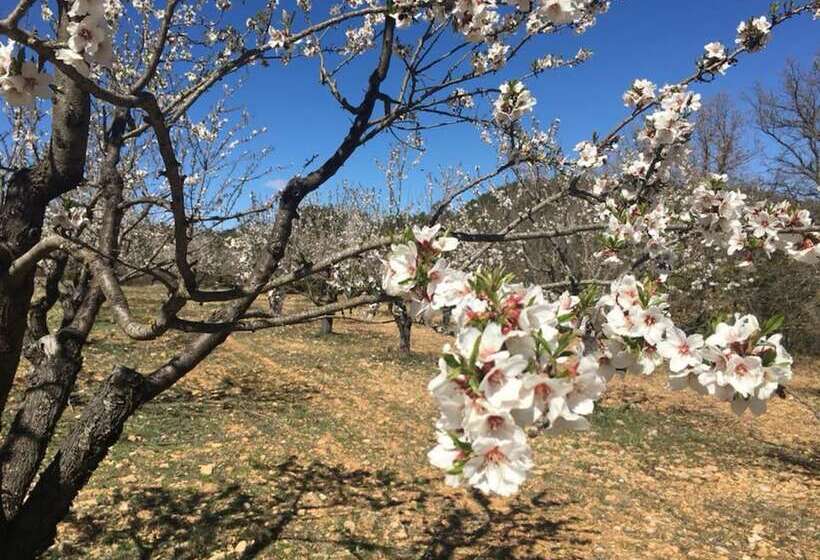 Bed and Breakfast Le Clos Des Collines. Chambre D Hôtes