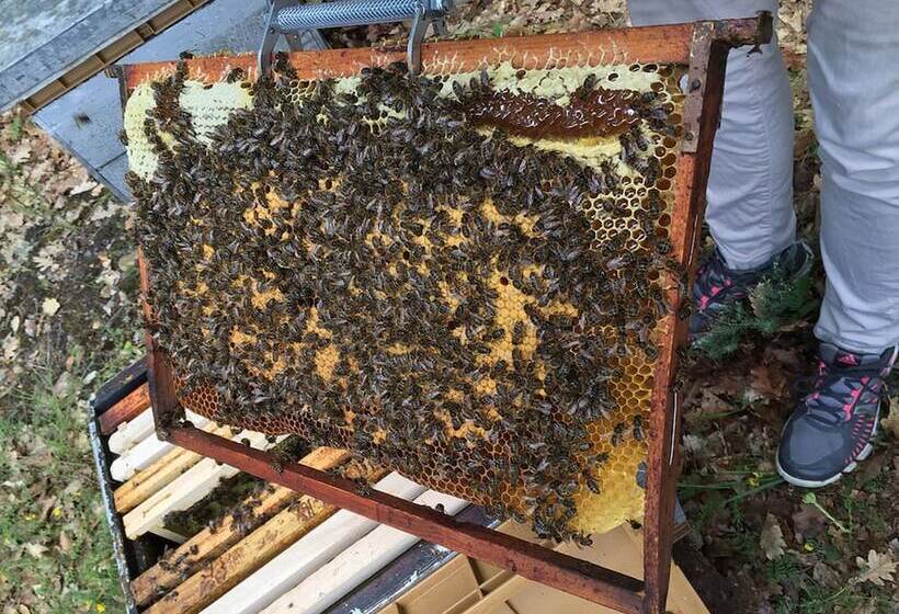 Bed and Breakfast Le Clos Des Collines. Chambre D Hôtes