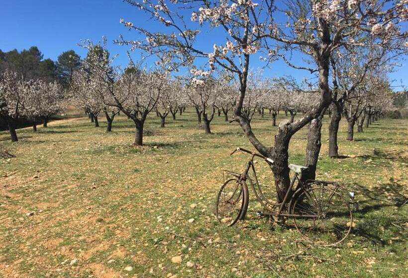 住宿加早餐 Le Clos Des Collines. Chambre D Hôtes