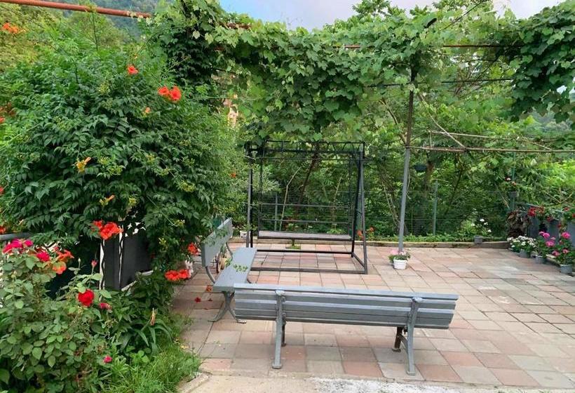 Pansiyon Guest House Nona