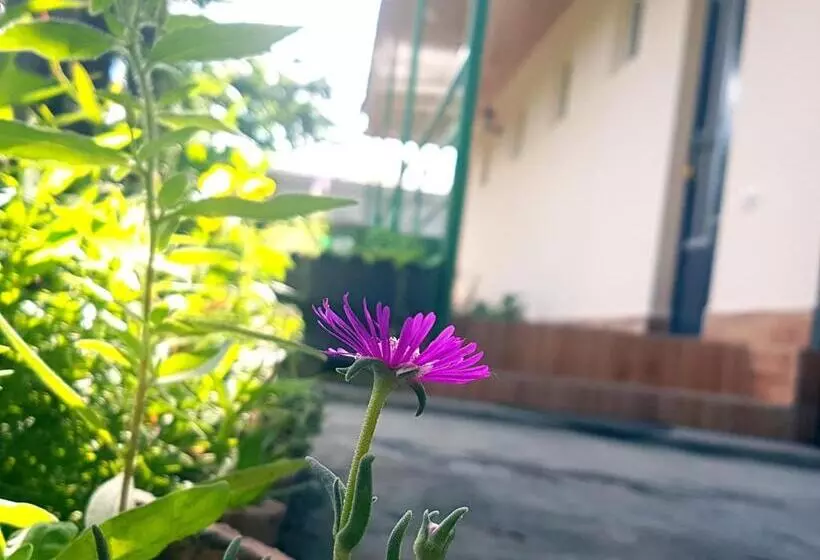 ペンション Guest House Villa