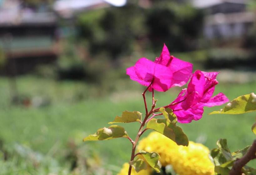 ペンション Zion White House