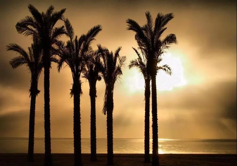 Apartamentos Estrella De Mar