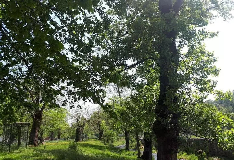 Сельский отель Entremontes