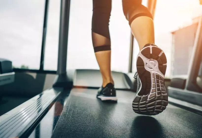 Отель Vila Real Palace