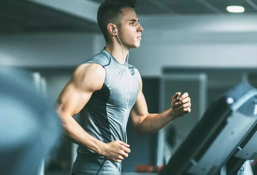 Отель Vila Real Palace