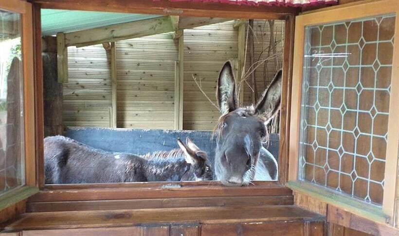 Ecuries Leseigneur   Camping Insolites