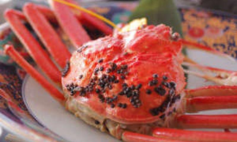 Отель Ryokan Hamayu Shosekian