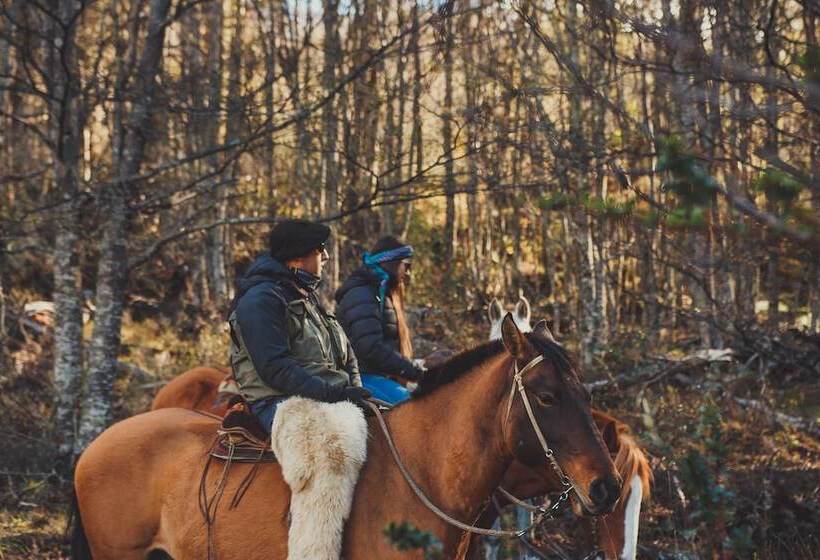 فندق Parador Austral Lodge