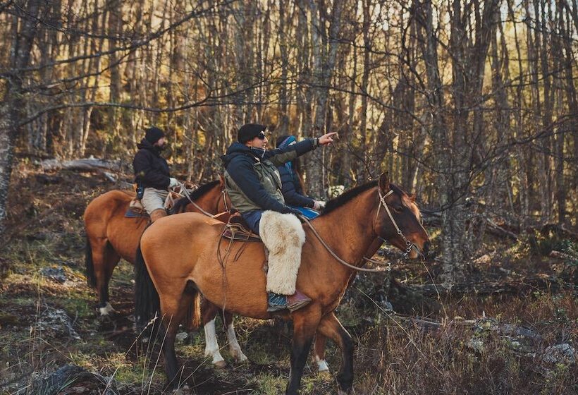فندق Parador Austral Lodge