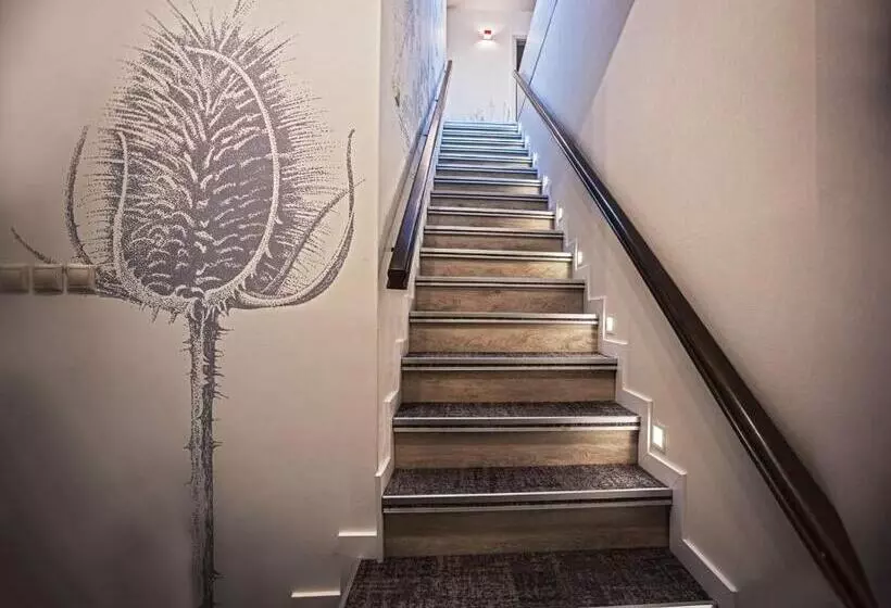 Aamiaismajoitus (B&B) Piccolo Panzió Vendéglő Vinoteca