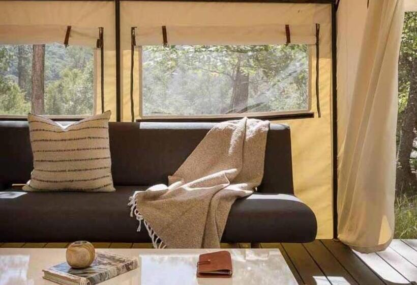 ホテル Autocamp Cape Cod