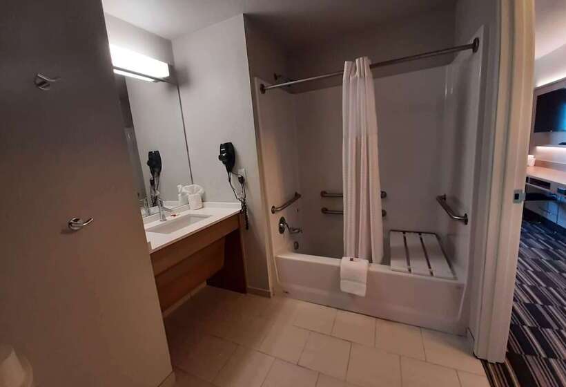 Microtel Inn & Suites By Wyndham Loveland