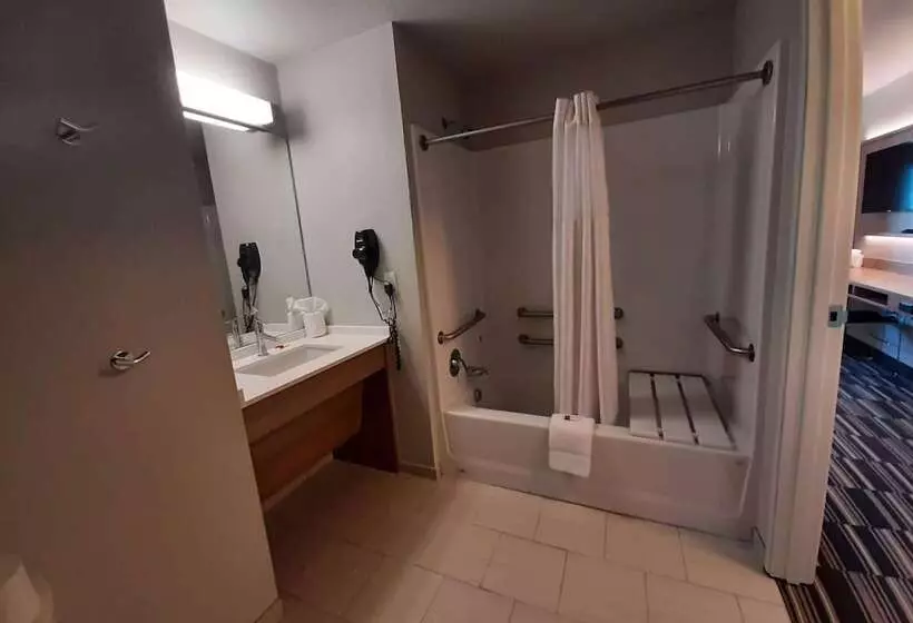 Microtel Inn & Suites By Wyndham Loveland