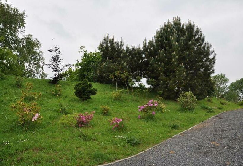 Bed and Breakfast Domaine La Longre