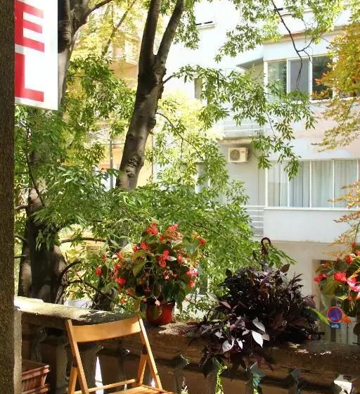 Hostel Sova