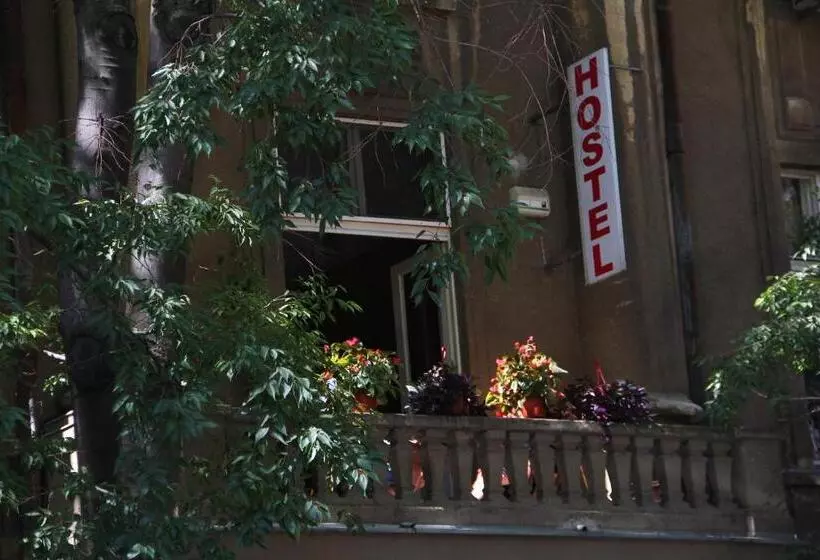 Hostel Sova