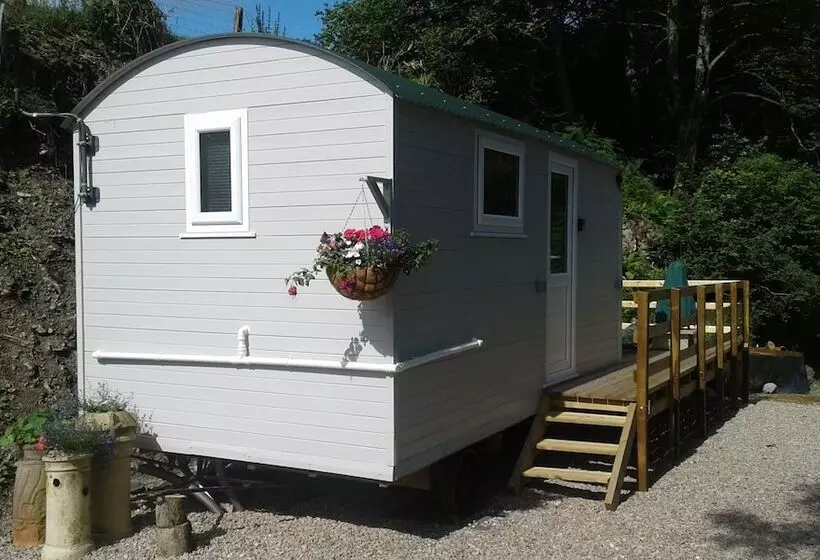 هتل The Shepherd S Hut