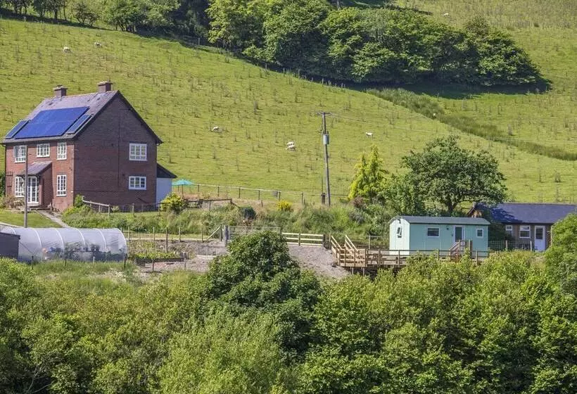 هتل The Shepherd S Hut