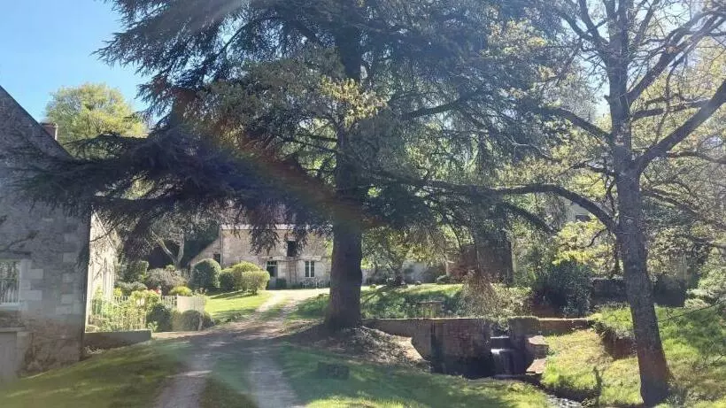 Le Moulin Du Mesnil