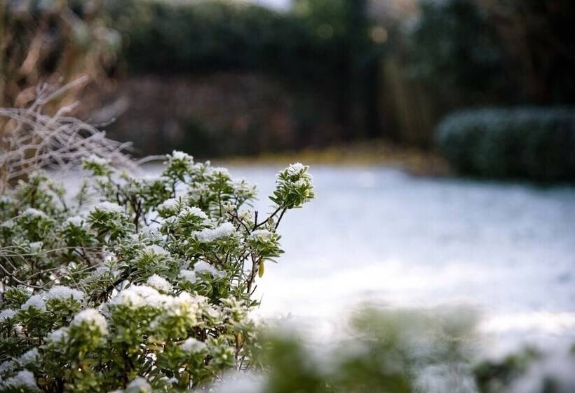 Rose Cottage, Lavenham