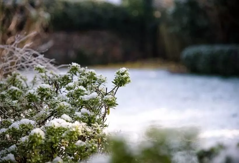 Rose Cottage, Lavenham