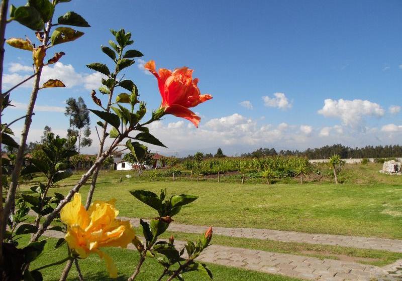 Hotel Posada Mirolindo