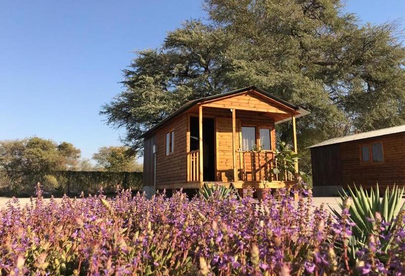 住宿加早餐  Kololo Guesthouse