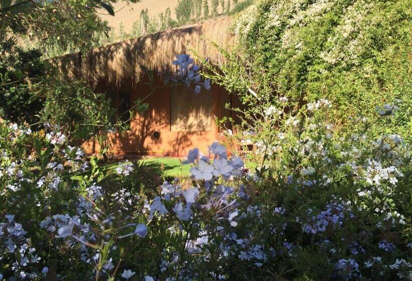 צימר Refugio Misterios Del Elqui