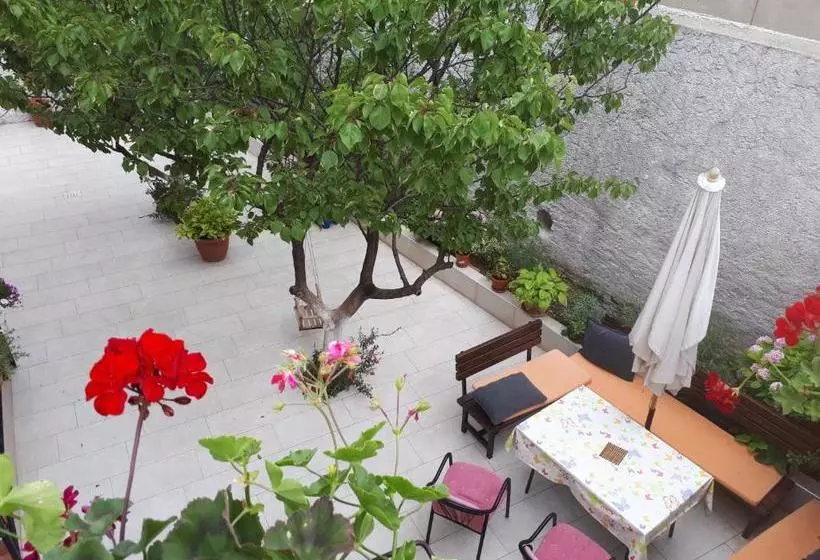 Hostel Bojo