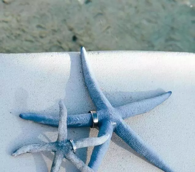 هتل Ocean Escape Resort & Spa