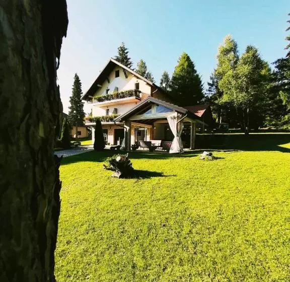 پانسیون Guest House Colovic
