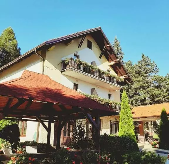 پانسیون Guest House Colovic