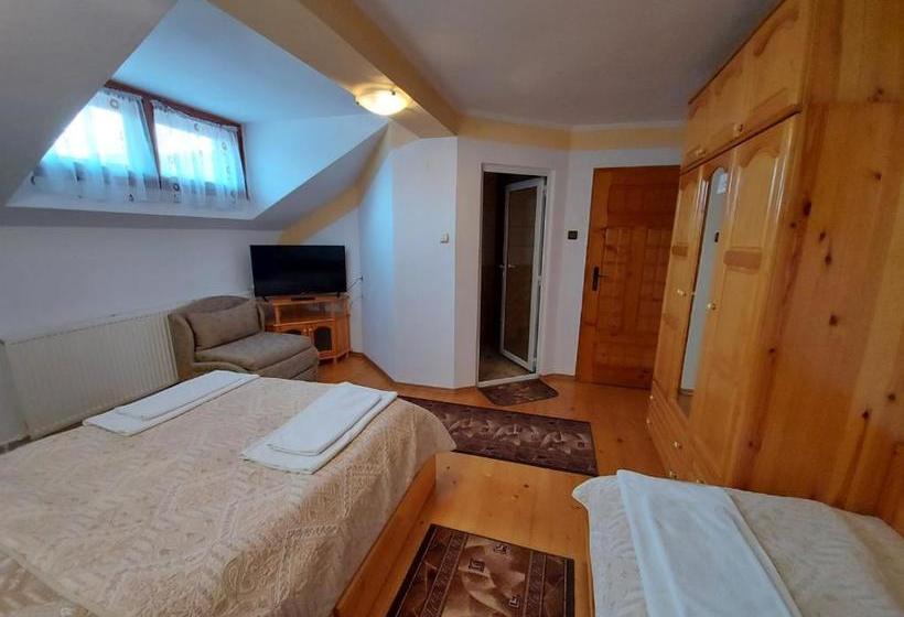 Pensjonat Vitosha Guest House