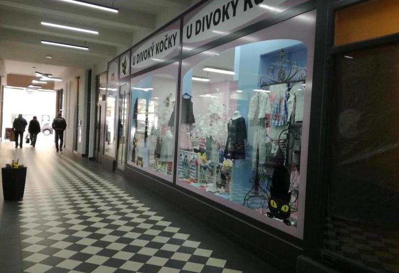 Schronisko Apartmany Jan Becher