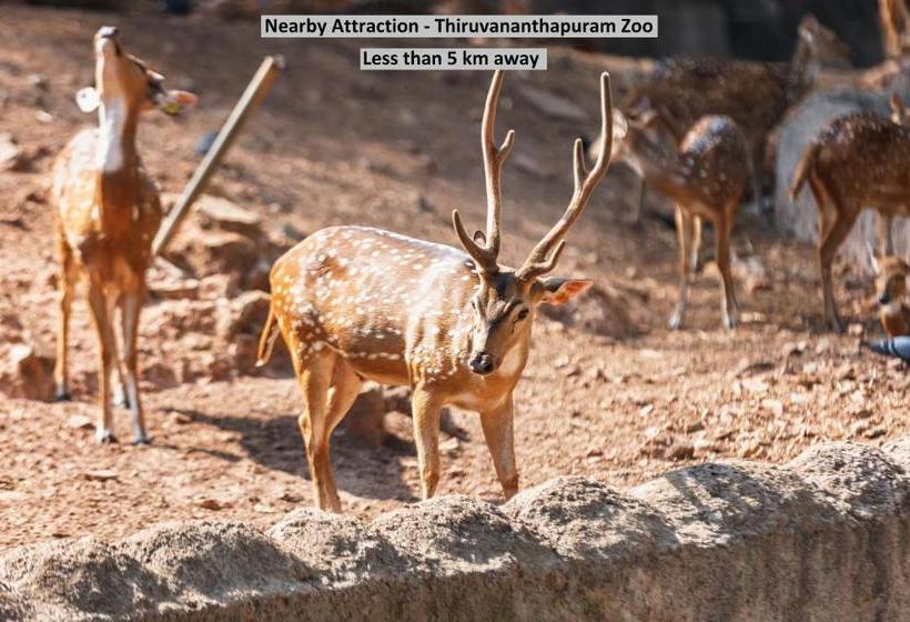 בית מלון כפרי Vaccinated Staff  Spot On 64230 Killi Tourist Home