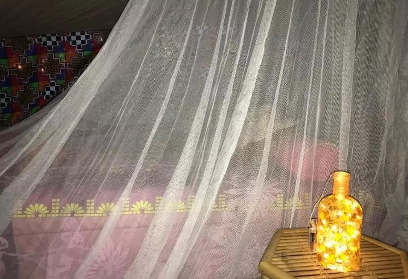 Majatalo Au Milieu De Nulle Part Chambres D Hotes Au Lac Du Der