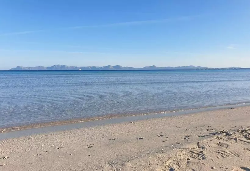 Apartaments Ses Dàlies