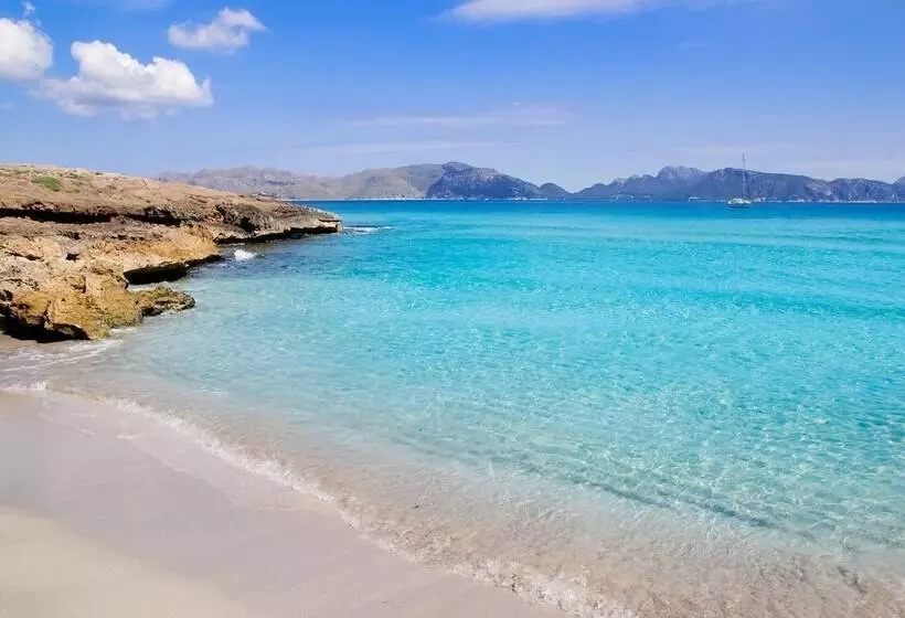 Apartaments Ses Dàlies